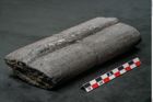 Foto (Seitenansicht) von Calamites sp.  (NHMW-GEO-2024-0188-11161)